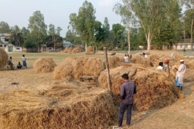 খড়ের বাজারে অস্থিরতা